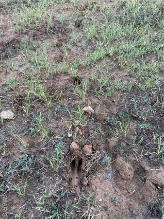 $89,000 | 4 Bobwhite Lane, Fairdealing, MO 63939