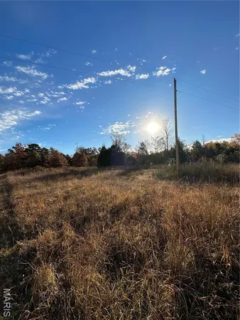 $89,000 | 4 Bobwhite Lane, Fairdealing, MO 63939