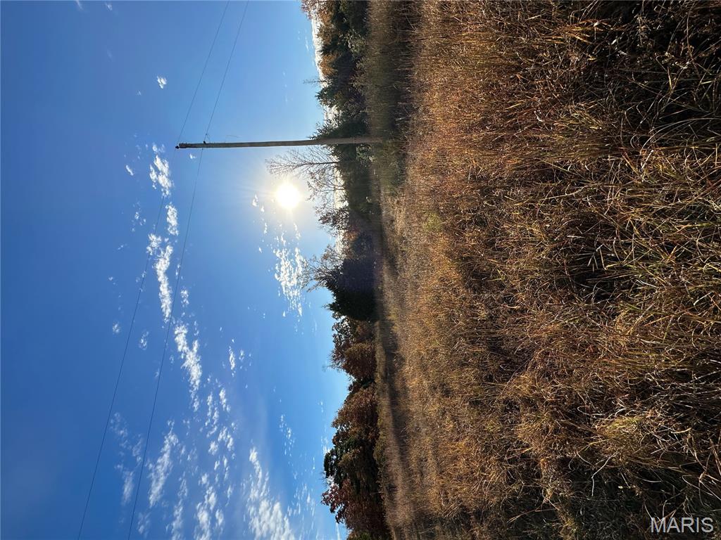 4 Bobwhite Lane Fairdealing, MO 63939 - Photo 24 of 61