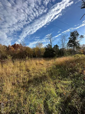 $89,000 | 4 Bobwhite Lane, Fairdealing, MO 63939