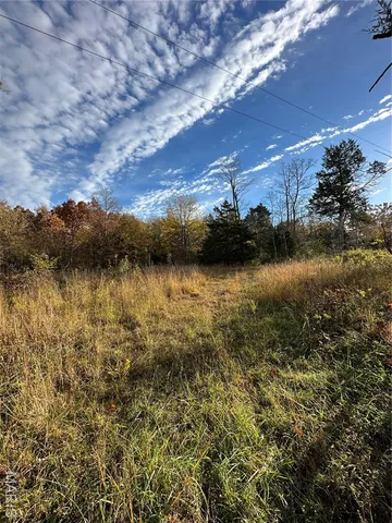 $89,000 | 4 Bobwhite Lane, Fairdealing, MO 63939