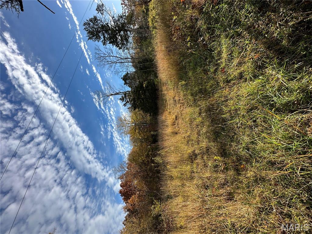4 Bobwhite Lane Fairdealing, MO 63939 - Photo 26 of 61