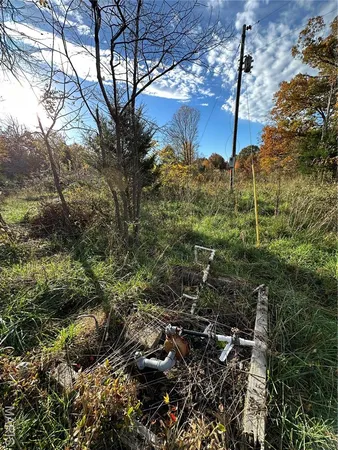 $89,000 | 4 Bobwhite Lane, Fairdealing, MO 63939