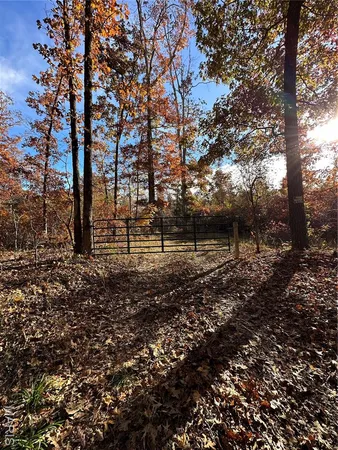 $89,000 | 4 Bobwhite Lane, Fairdealing, MO 63939