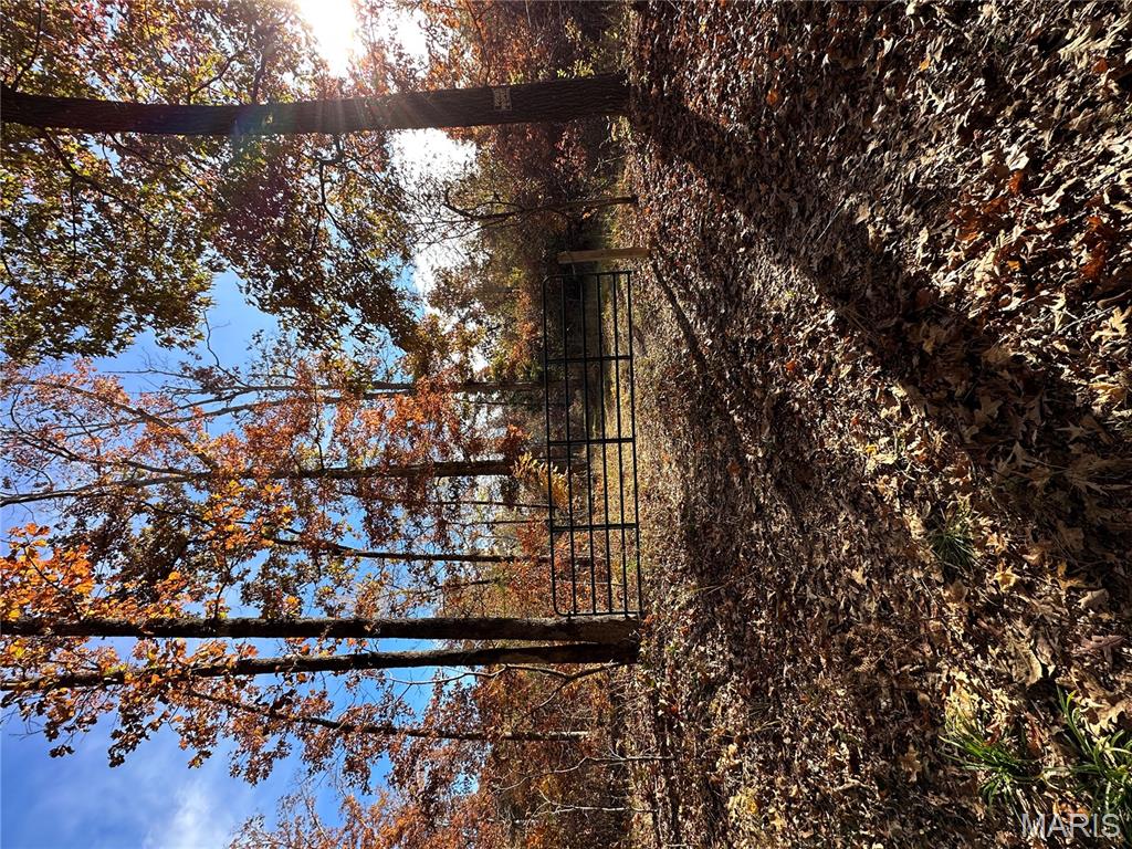 4 Bobwhite Lane Fairdealing, MO 63939 - Photo 29 of 61