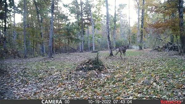 $89,000 | 4 Bobwhite Lane, Fairdealing, MO 63939