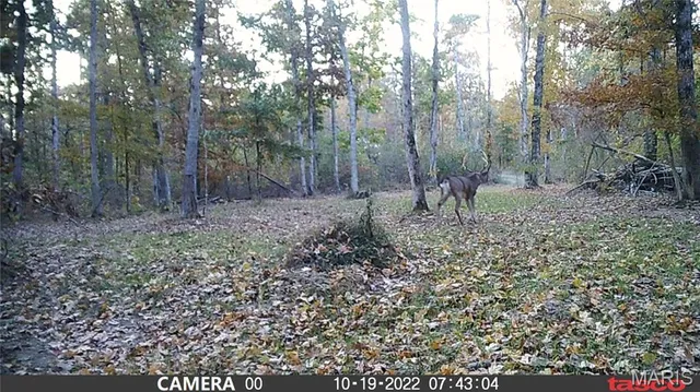 $89,000 | 4 Bobwhite Lane, Fairdealing, MO 63939