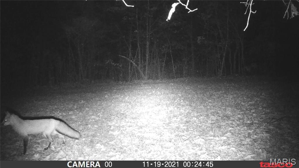 4 Bobwhite Lane Fairdealing, MO 63939 - Photo 37 of 61