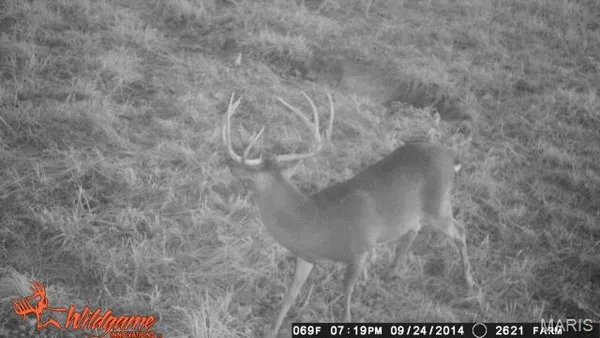 $89,000 | 4 Bobwhite Lane, Fairdealing, MO 63939