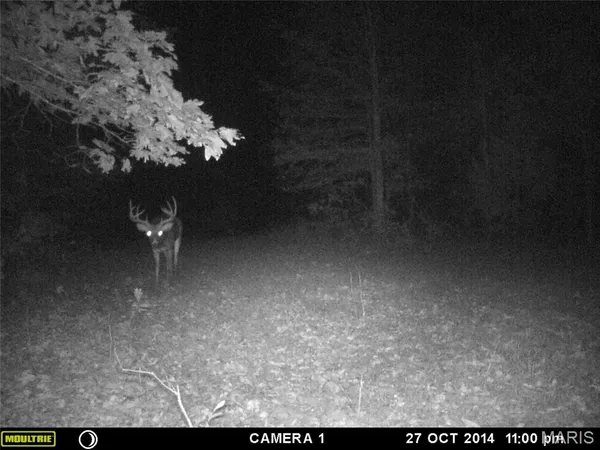 $89,000 | 4 Bobwhite Lane, Fairdealing, MO 63939