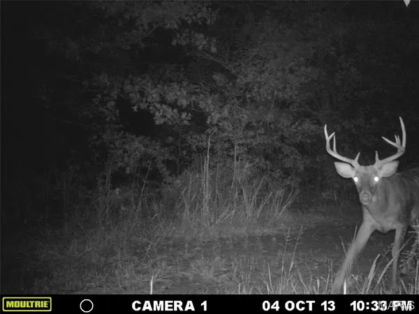 $89,000 | 4 Bobwhite Lane, Fairdealing, MO 63939