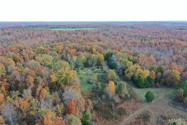 $89,000 | 4 Bobwhite Lane, Fairdealing, MO 63939