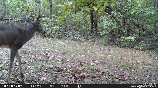 $89,000 | 4 Bobwhite Lane, Fairdealing, MO 63939