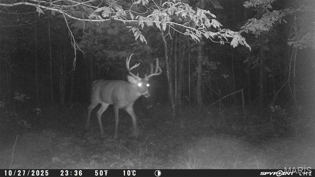 4 Bobwhite Lane Fairdealing, MO 63939 - Photo 6 of 61