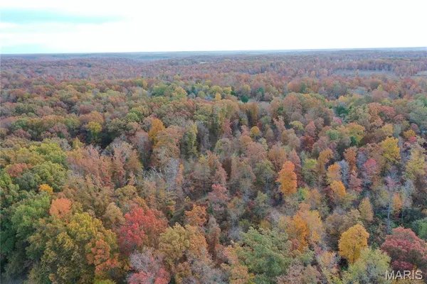 $89,000 | 4 Bobwhite Lane, Fairdealing, MO 63939