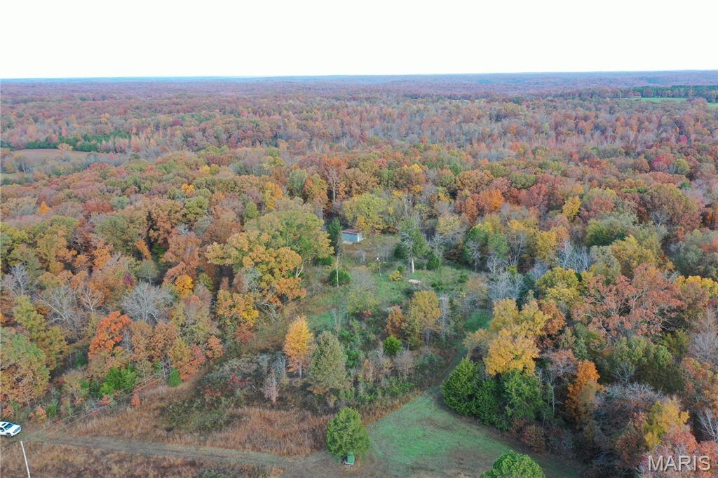 4 Bobwhite Lane Fairdealing, MO 63939 - Photo 9 of 61