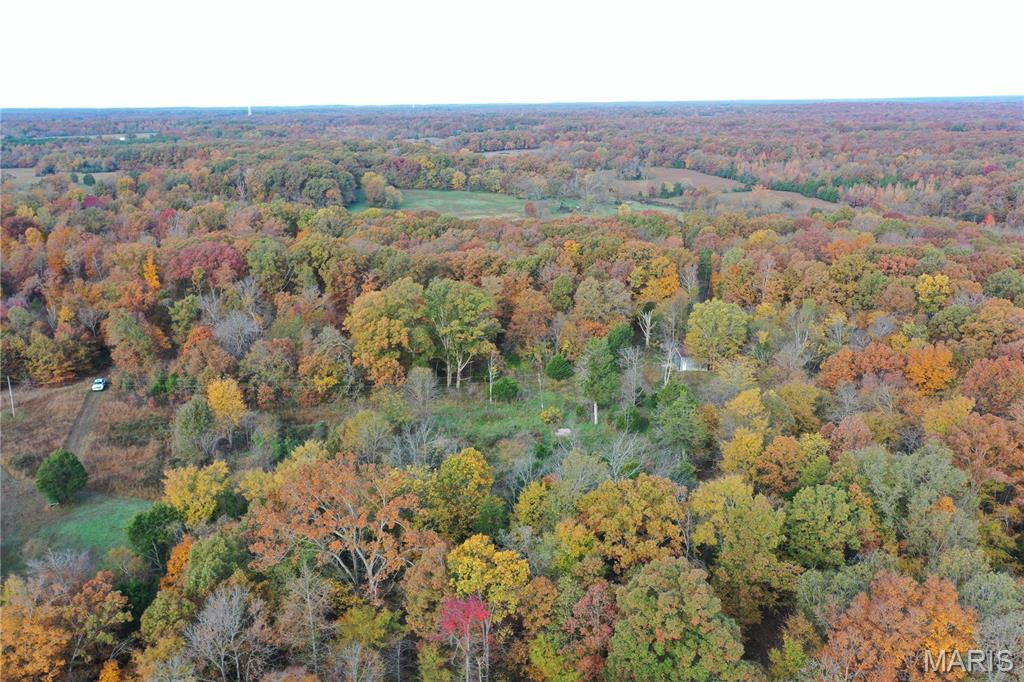 4 Bobwhite Lane Fairdealing, MO 63939 - Photo 10 of 61