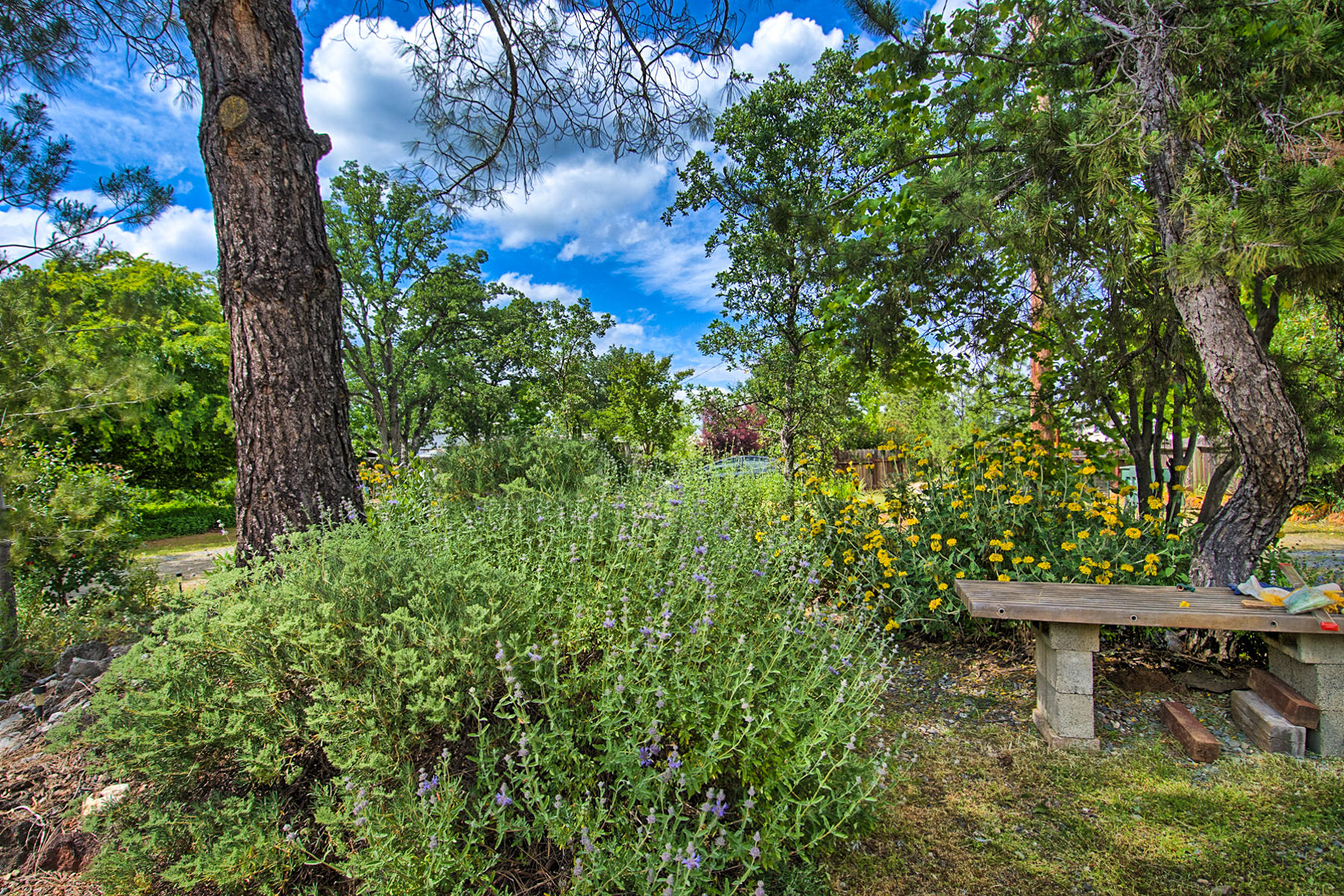 3395 Santa Rosa Way Redding, CA 96003 - Photo 48 of 61 santa rosa-128