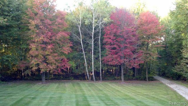 8028 McClements Road Brighton, MI 48114 - Photo 26 of 28 View from house of front yard, lots of room to run and play!