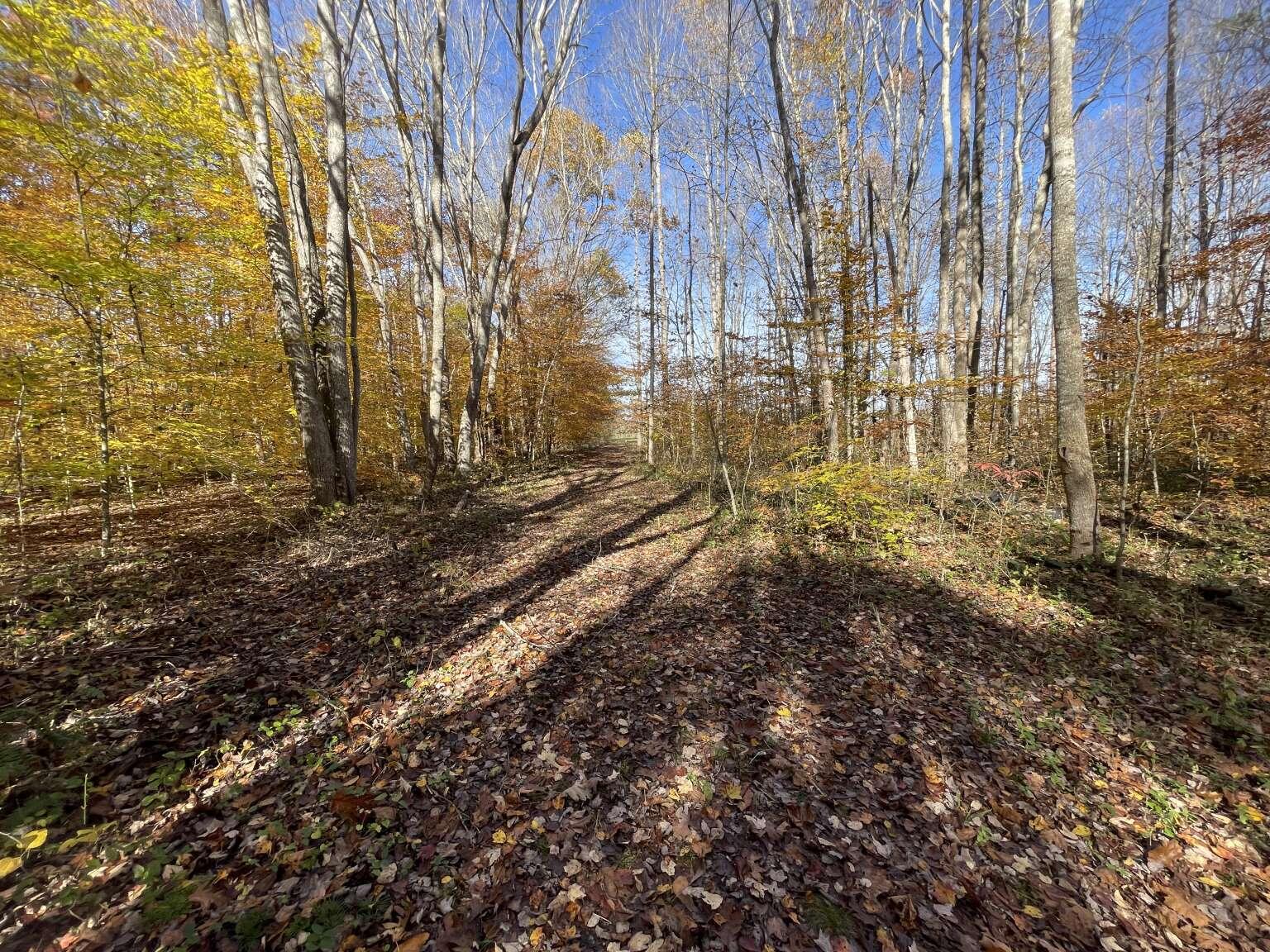 1235 Westerfield Road London, KY 40744 - Photo 13 of 13 Girdler.13