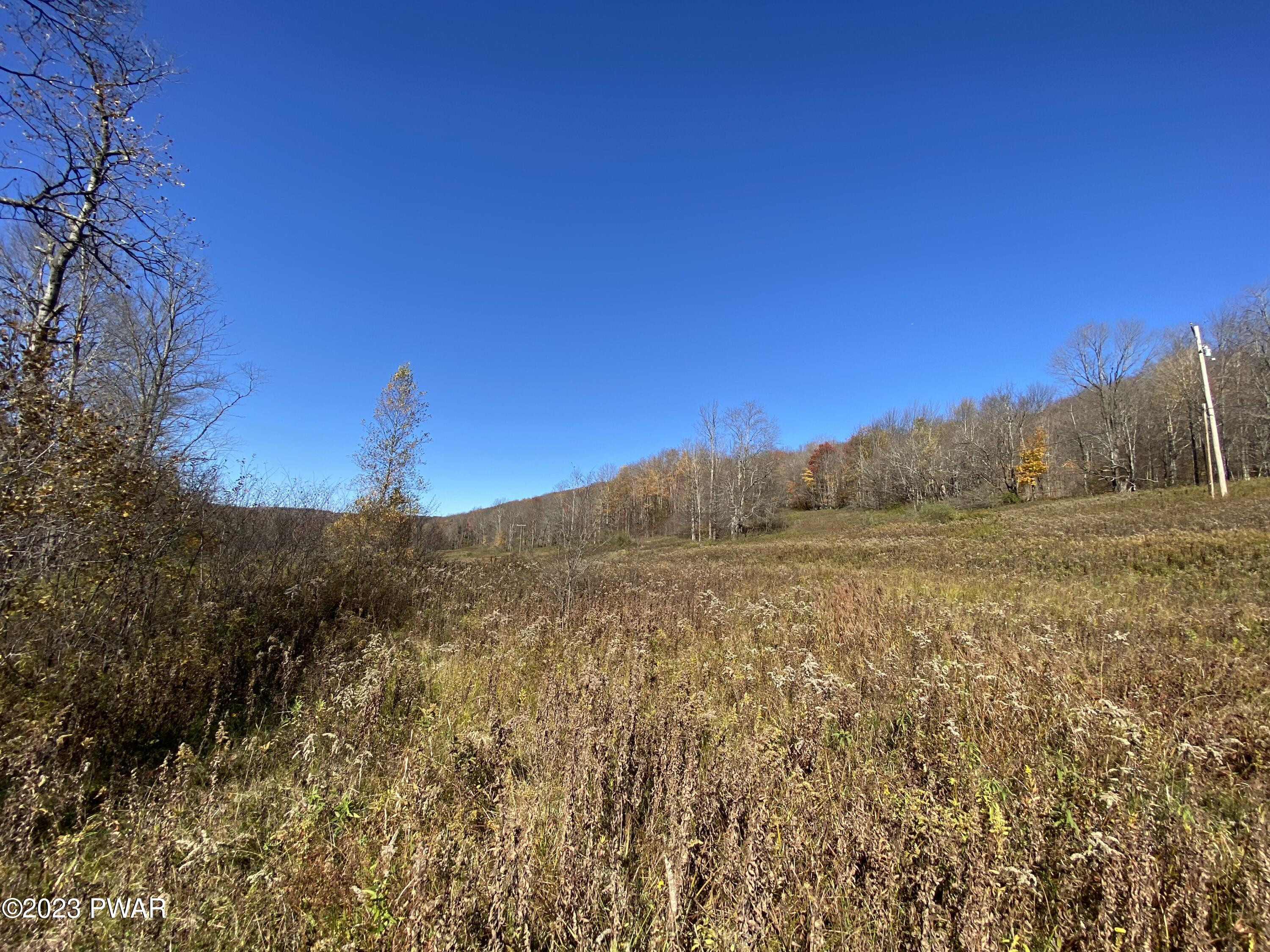 Fox Farm Hill Road Susquehanna, PA 18847 - Photo 16 of 19 Fields