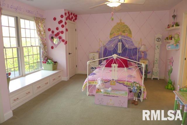 8224 West Robertson Road Edwards, IL 61528 - Photo 20 of 36 Gallery Image 20