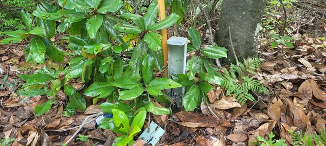 $22,500 | 0 Flatwoods Road, Monticello, FL 32344