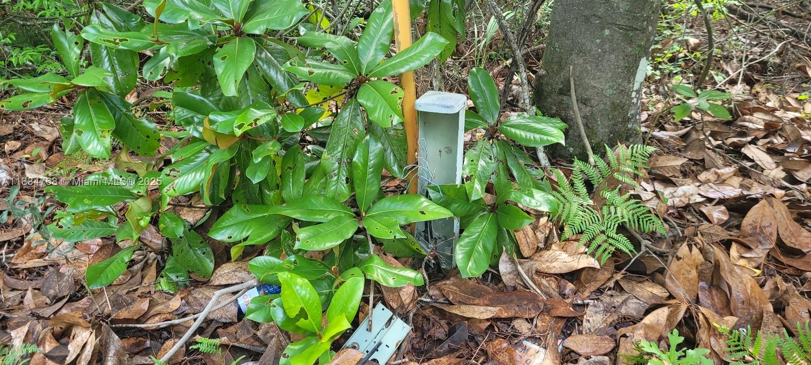 0 Flatwoods Road Monticello, FL 32344 - Photo 11 of 11