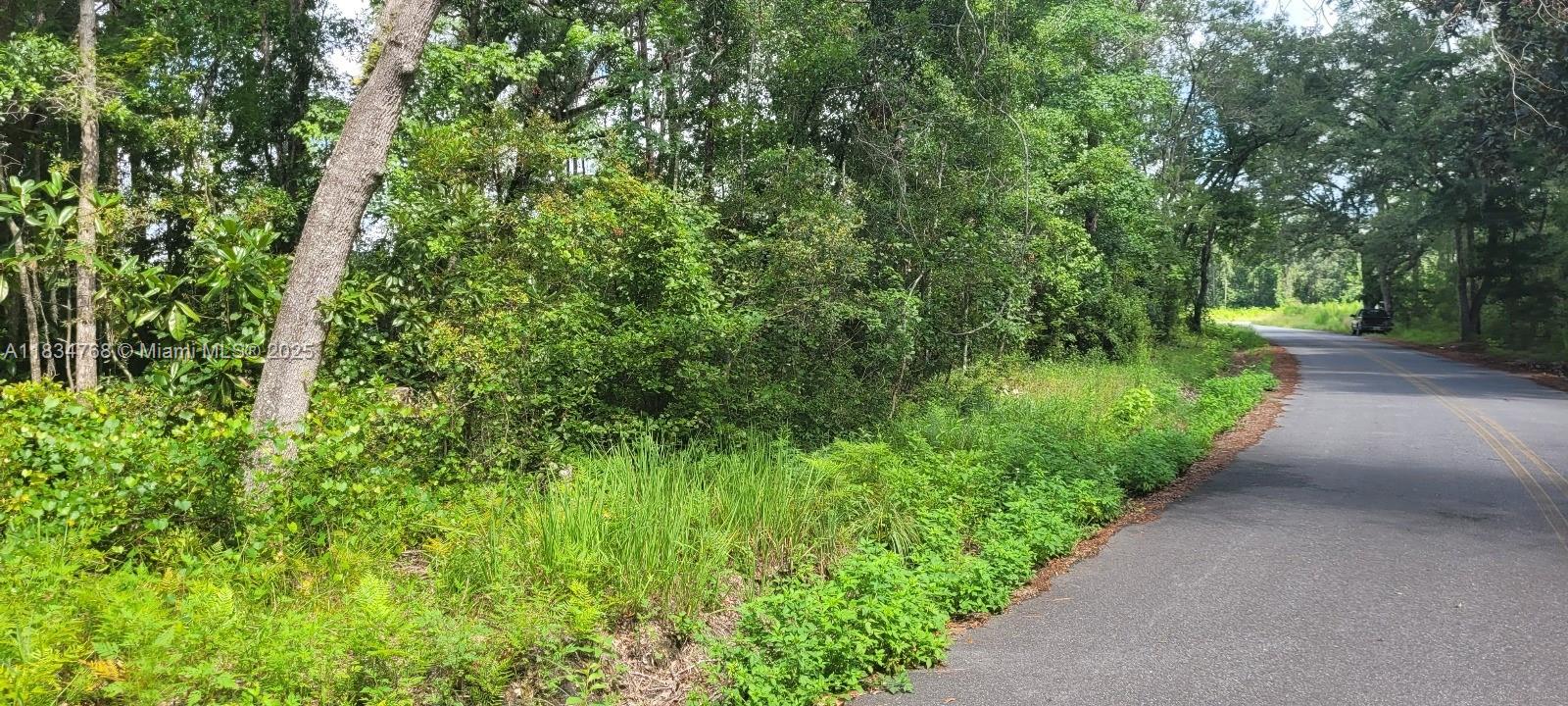 0 Flatwoods Road Monticello, FL 32344 - Photo 3 of 11