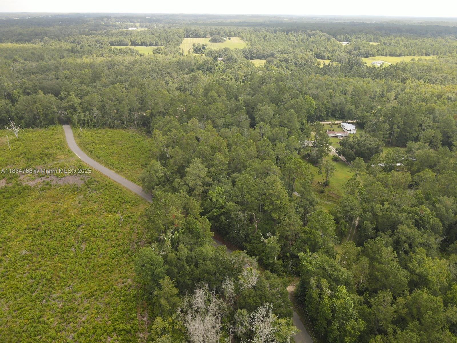 0 Flatwoods Road Monticello, FL 32344 - Photo 4 of 11