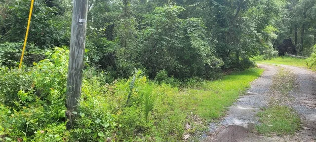 $22,500 | 0 Flatwoods Road, Monticello, FL 32344