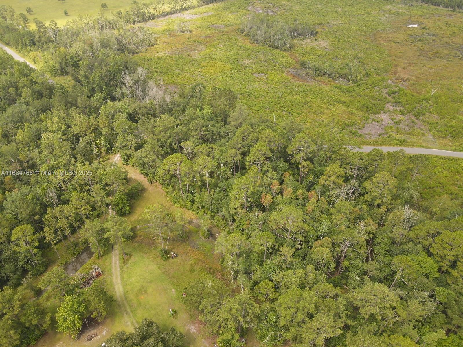 0 Flatwoods Road Monticello, FL 32344 - Photo 8 of 11