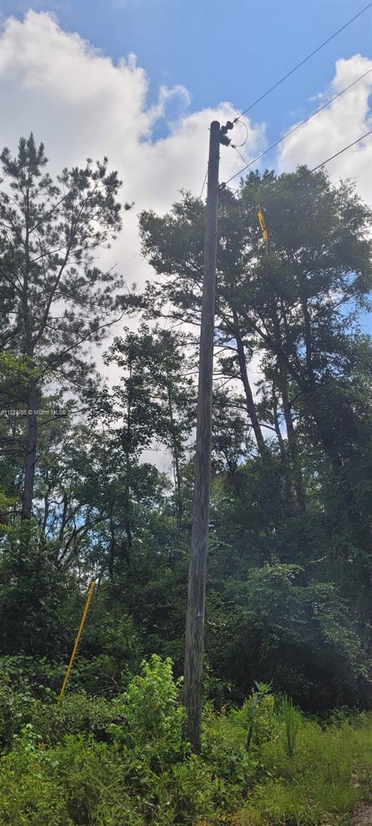 0 Flatwoods Road Monticello, FL 32344 - Photo 9 of 11