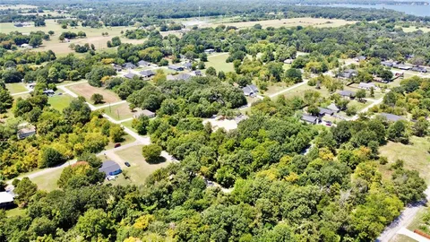 a view of a bunch of trees