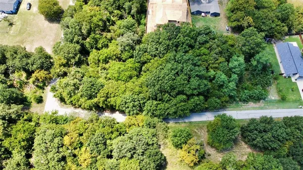 a view of a garden with a tree