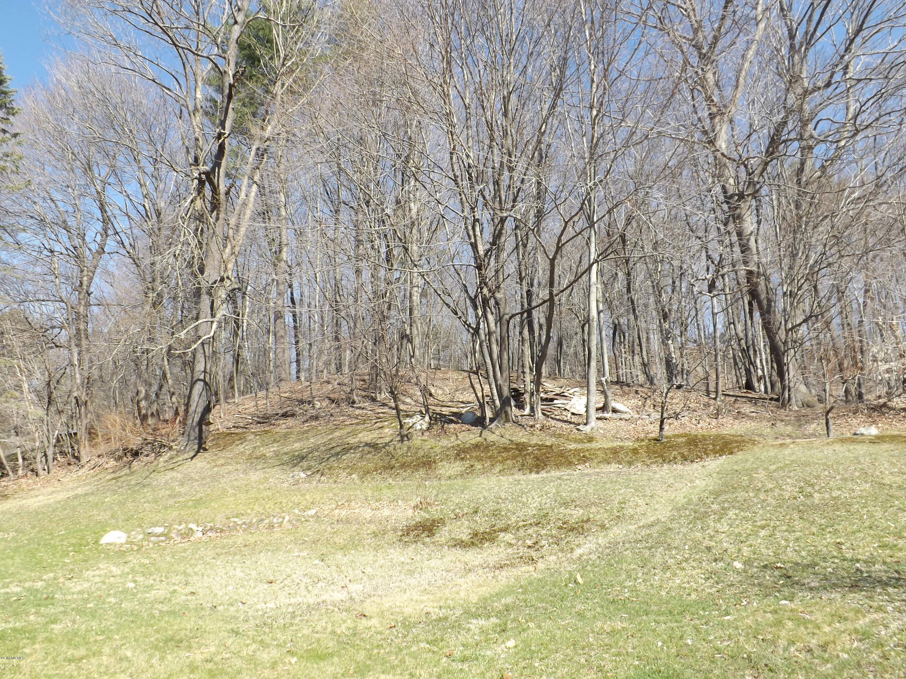 66 Cross Road Clarksburg, MA 01247 - Photo 12 of 14 DSCF6599