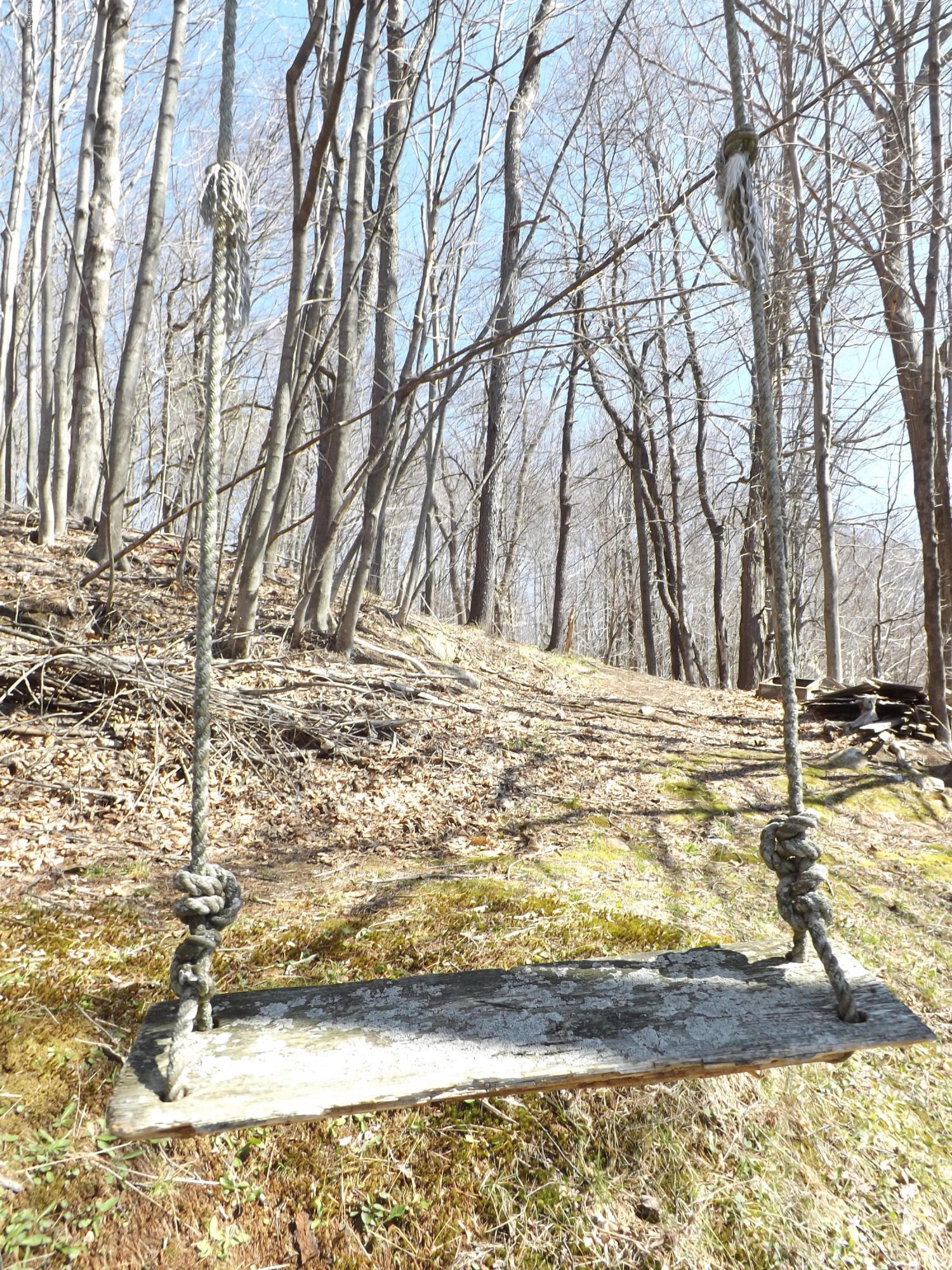 66 Cross Road Clarksburg, MA 01247 - Photo 13 of 14 DSCF6604