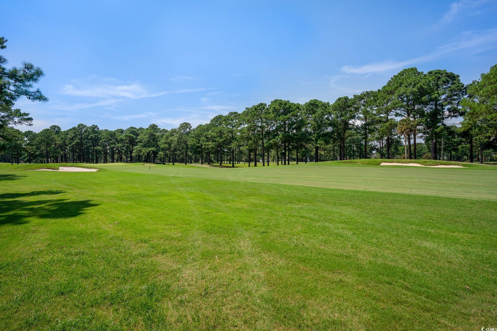 750 Charter Drive, Unit E2 Longs, SC 29568 - Photo 36 of 37