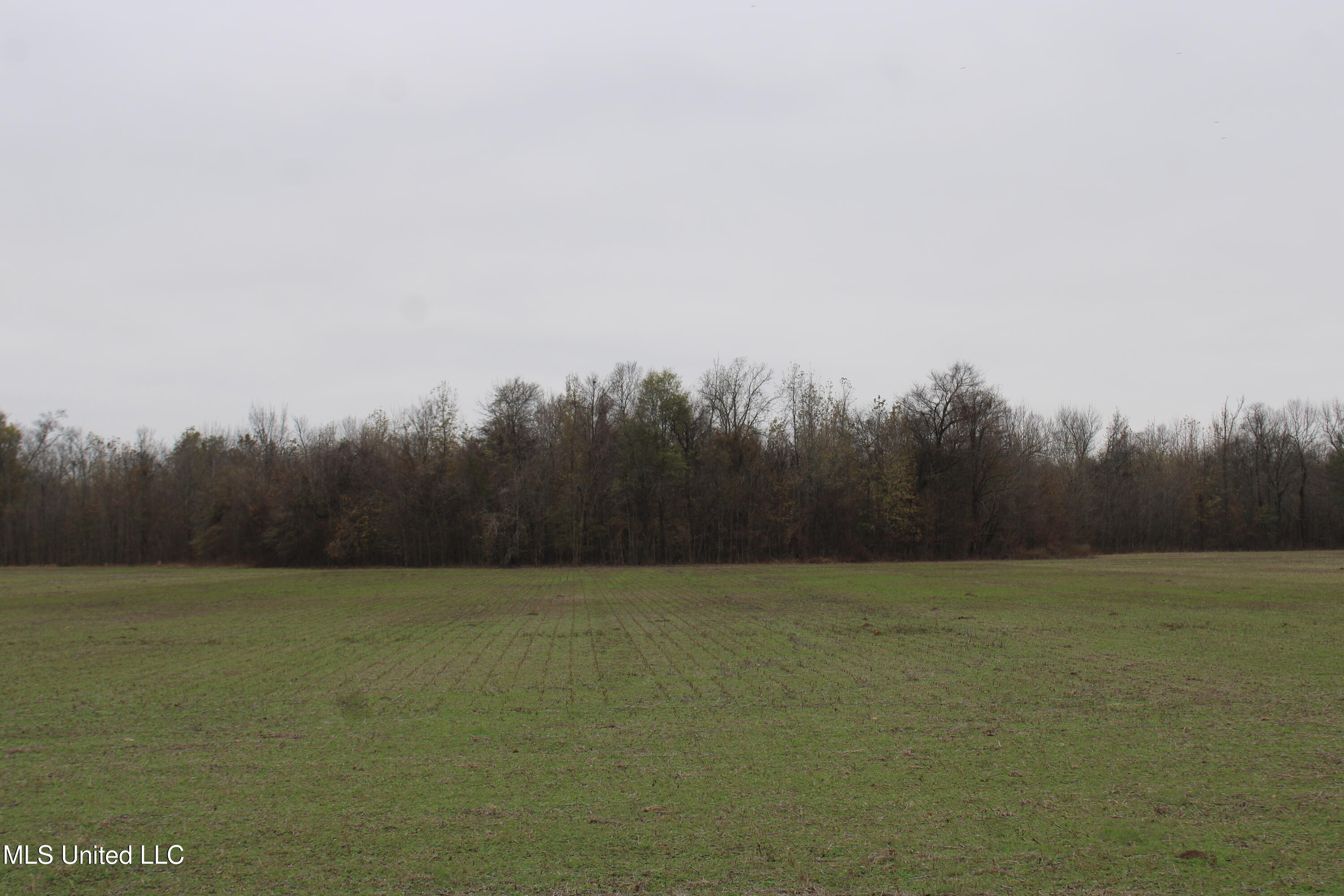 2000 Walnut Lake Road Dundee, MS 38626 - Photo 30 of 34 IMG_6995