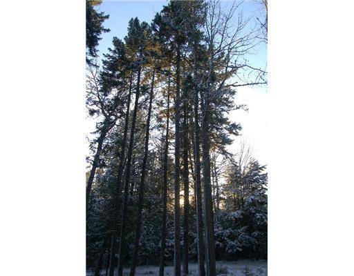 91 Wardens Camp Road Topsfield, ME 04490 - Photo 7 of 17 Land/Lot.