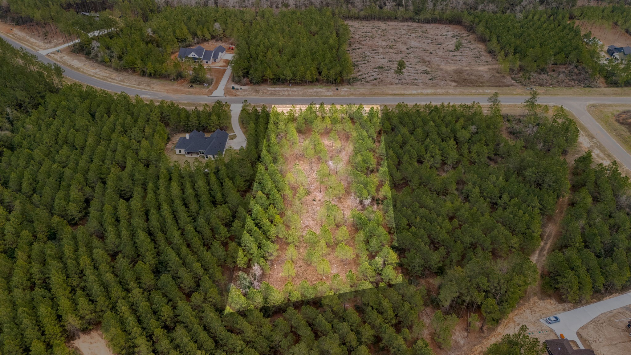 12737 Oak Barrel Road Willis, TX 77378 - Photo 2 of 10 a view of a bunch of a tree
