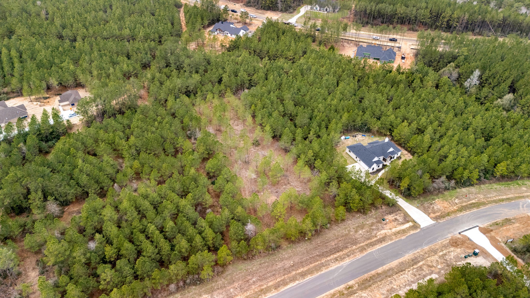 12737 Oak Barrel Road Willis, TX 77378 - Photo 7 of 10 a view of a yard with plants and a bench under a tree