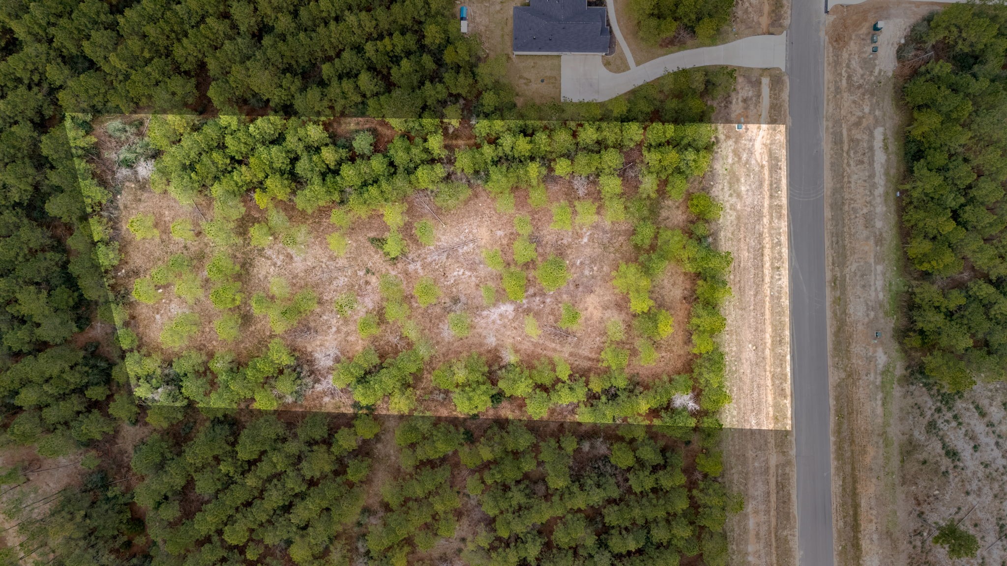 12737 Oak Barrel Road Willis, TX 77378 - Photo 8 of 10 a view of a garden