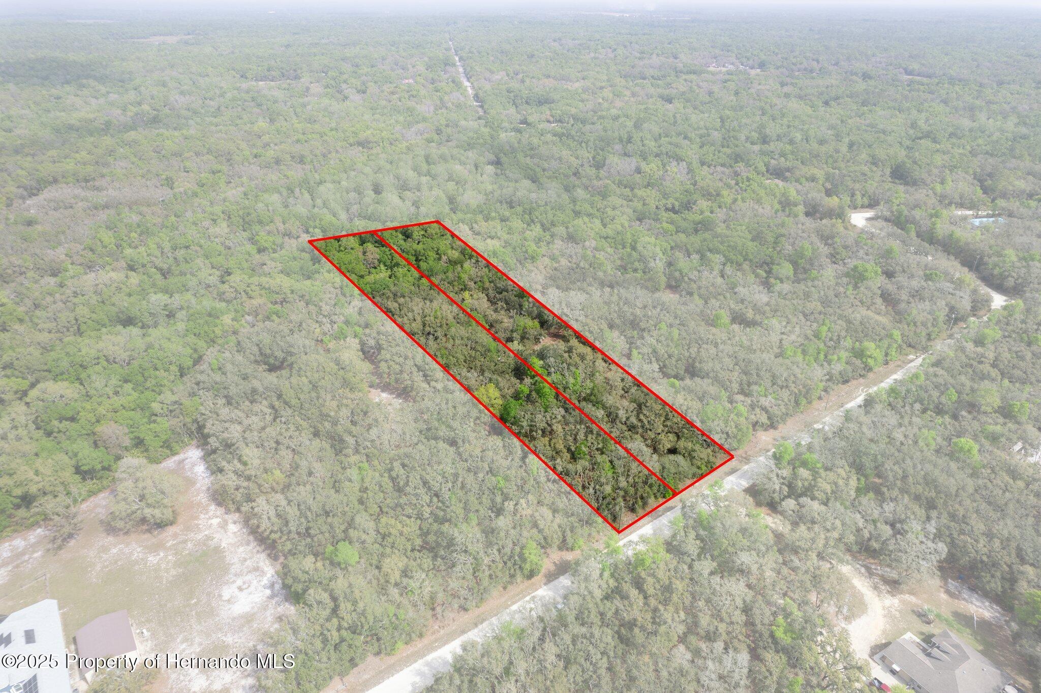 0 Rimrock Street Webster, FL 33597 - Photo 9 of 25