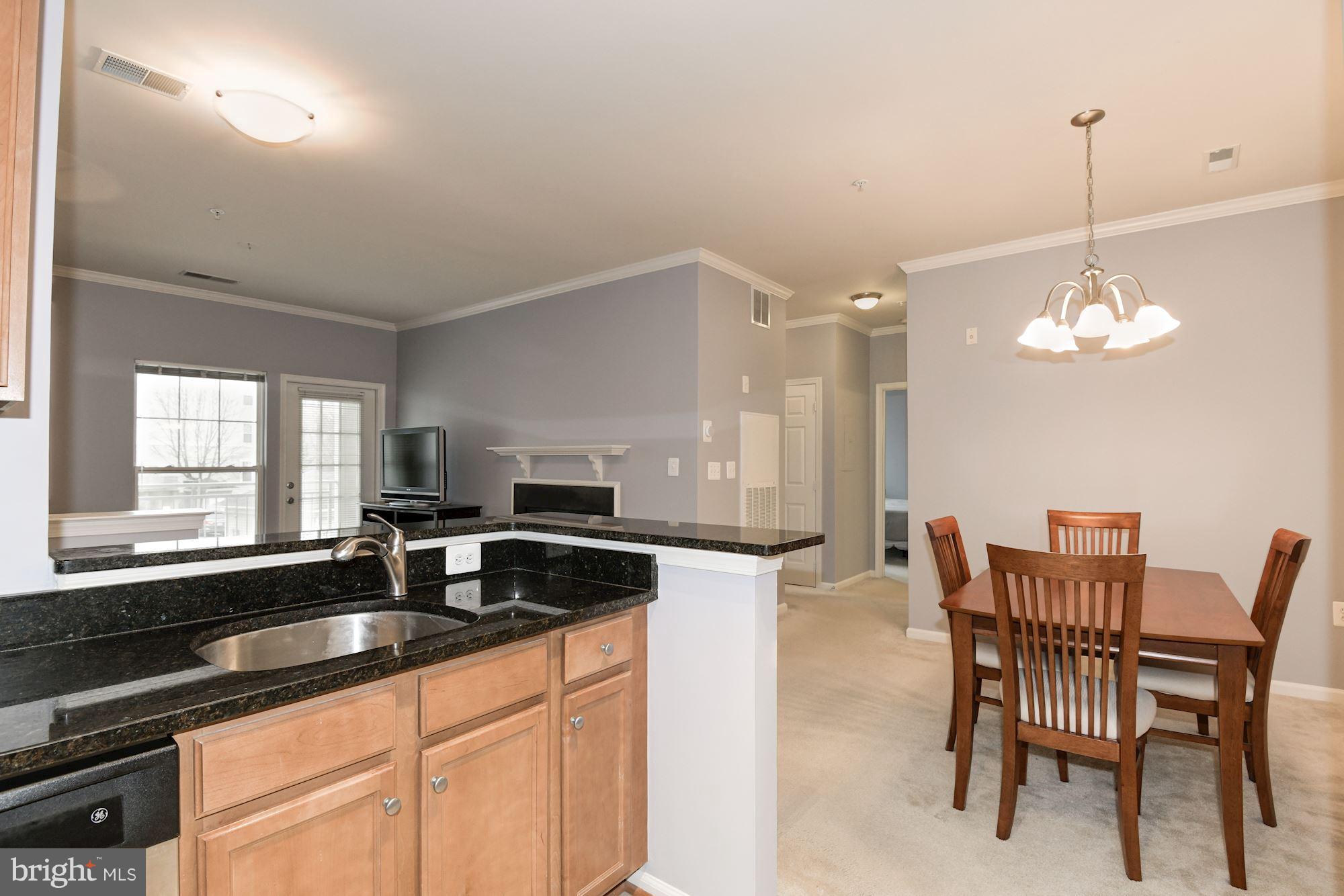 1509 North Point Drive, Unit 201 Reston, VA 20194 - Photo 11 of 19 Interior (General)