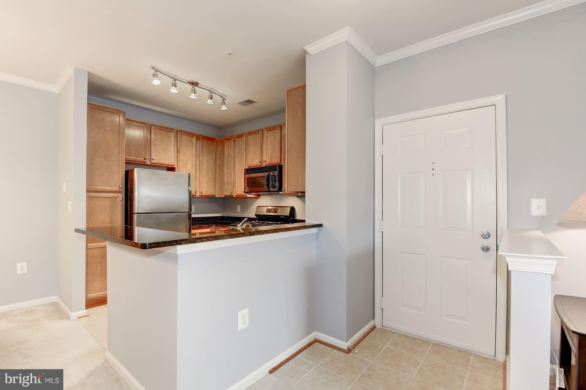 1509 North Point Drive, Unit 201 Reston, VA 20194 - Photo 3 of 19 Interior (General)