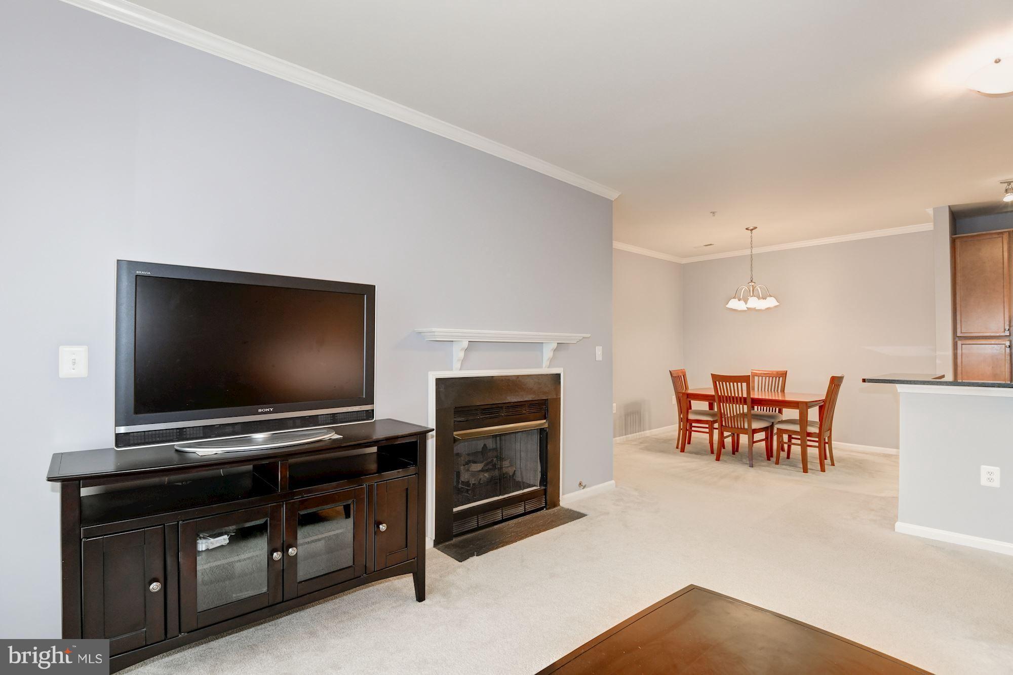 1509 North Point Drive, Unit 201 Reston, VA 20194 - Photo 6 of 19 Living Room