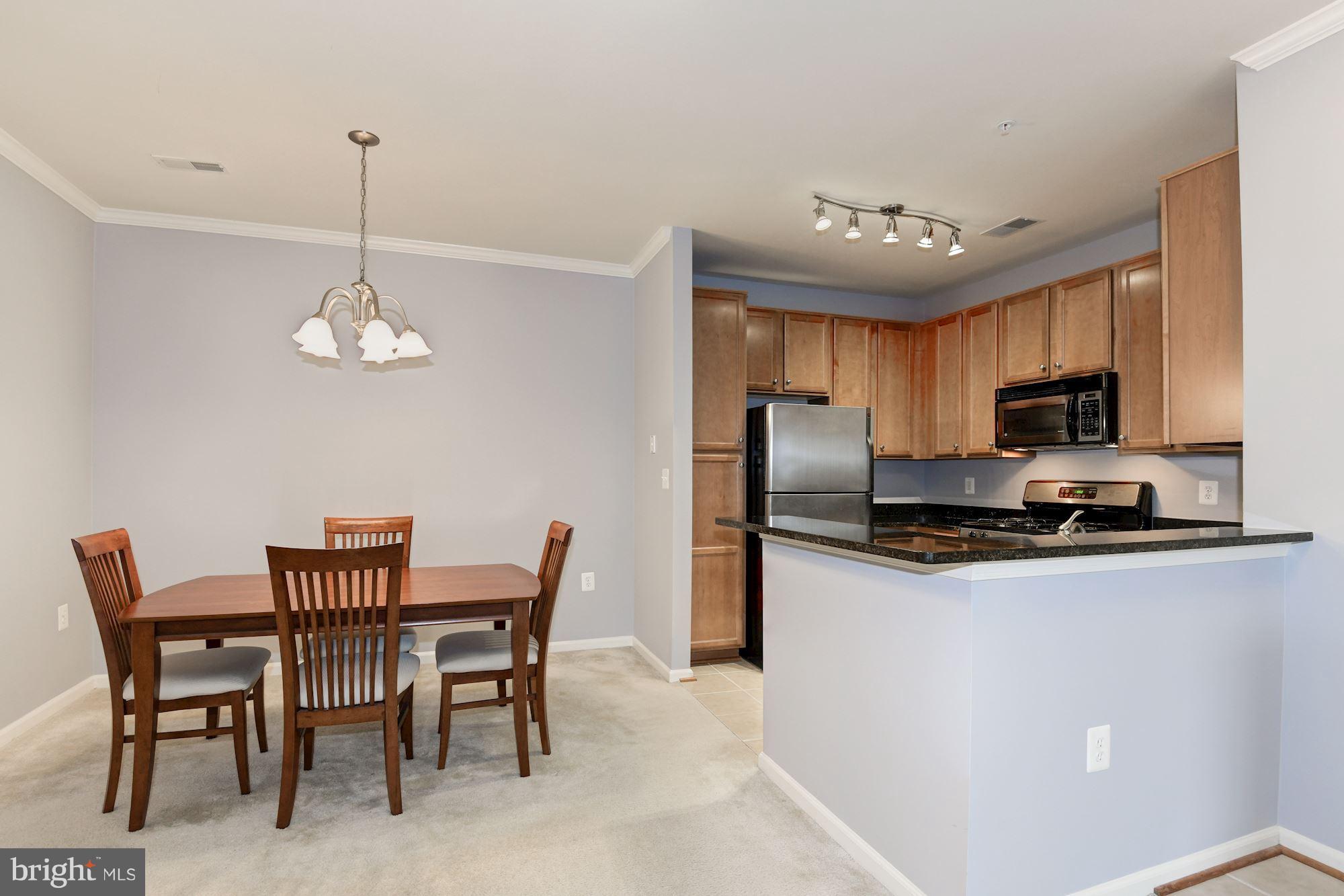 1509 North Point Drive, Unit 201 Reston, VA 20194 - Photo 7 of 19 Interior (General)