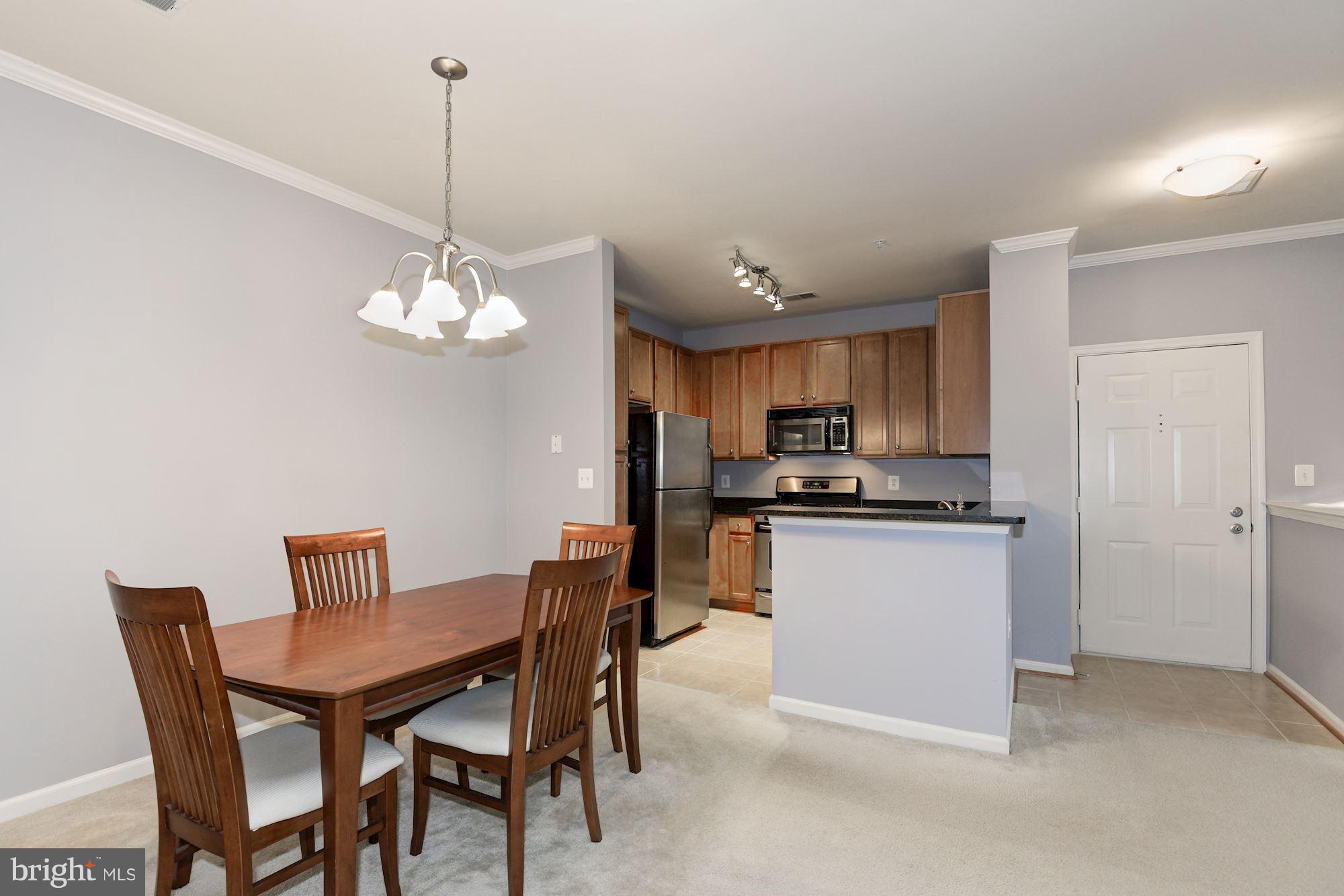 1509 North Point Drive, Unit 201 Reston, VA 20194 - Photo 8 of 19 Interior (General)