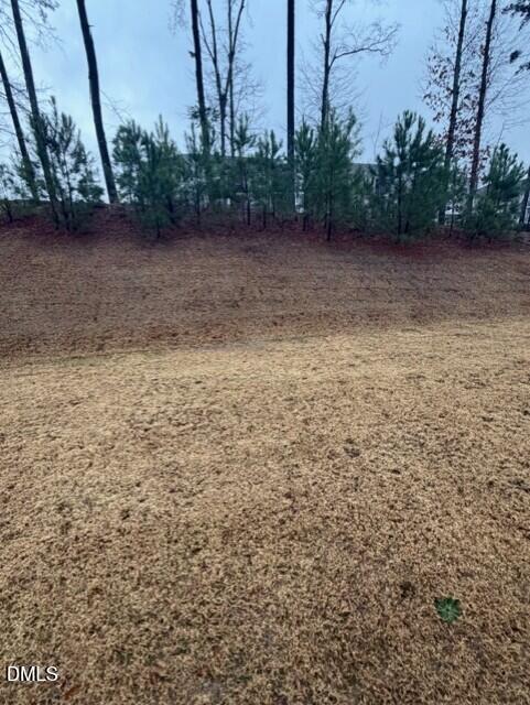 53 Hidden Grove Garner, NC 27529 - Photo 25 of 30 718f61d4-05f9-42a8-897f-46f53ef9d544